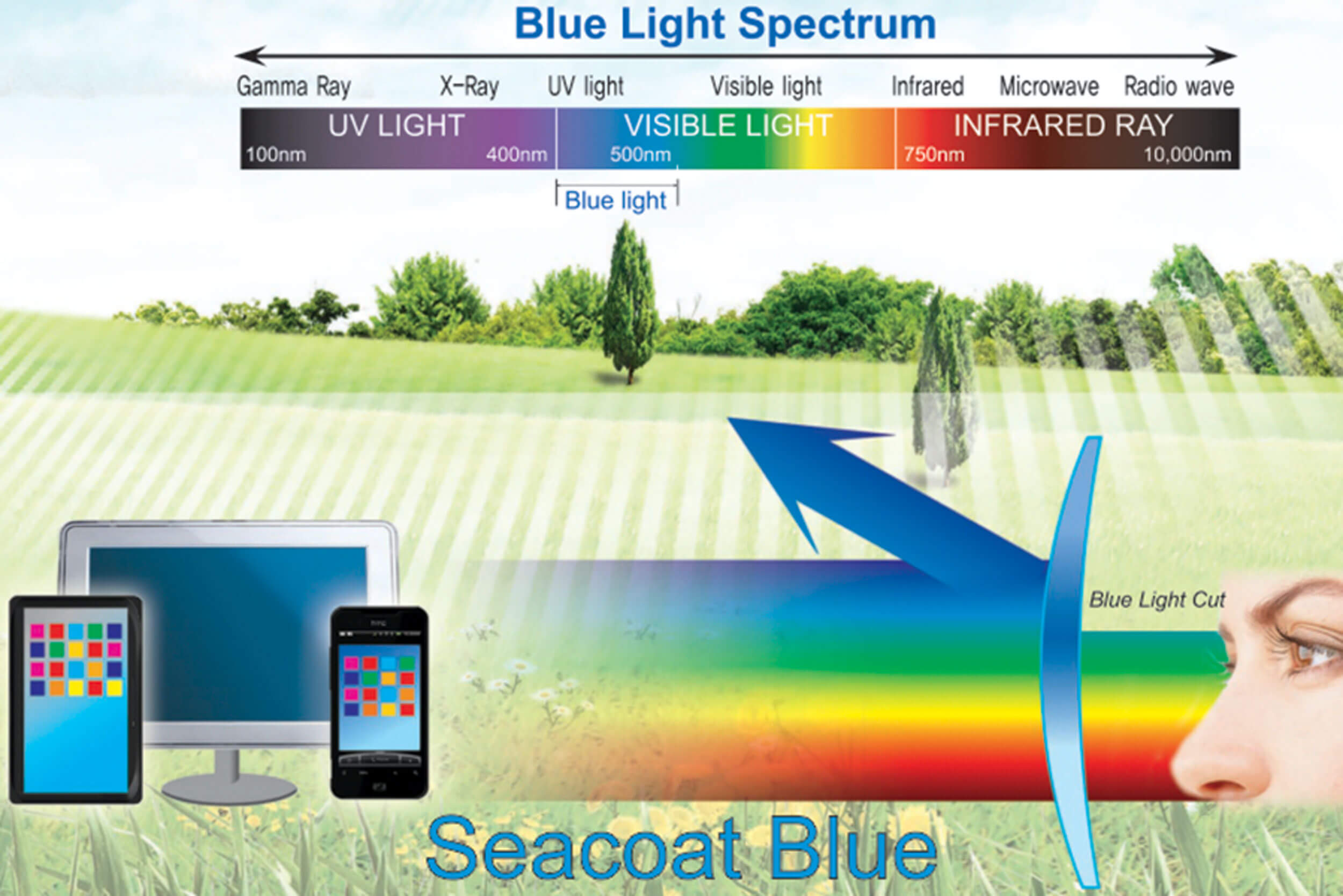 Lớp Phủ SeeCoat